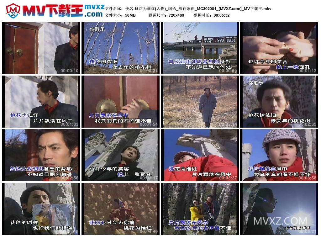 佚名-桃花为谁红(人物)_国语_流行歌曲_MC302001